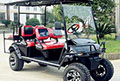 DMF Black Golf Cart - 4 passenger extended roof with fold down seats (+2 passenger)  and 10" tire and rims.