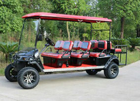 DMF Black Golf Cat - 6 passenger with fold down seats (+2 passenger), two tone seat color,  and 12" rims.