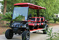 DMF Black Golf Cat - 6 passenger with fold down seats (+2 passenger), two tone seat color,  and 12" rims. Red Roof