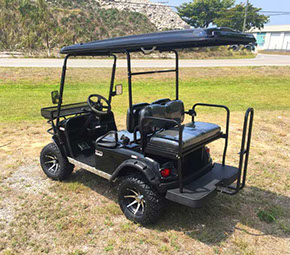 extended roof for rear passengers or cargo for DMF Golf Carts