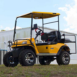 standard roof for DMF Golf Carts